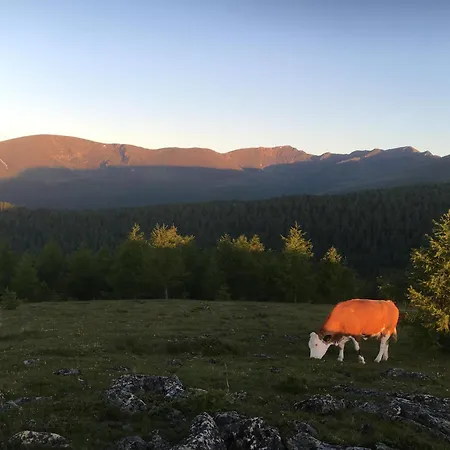 Chalet Kernmayerhuette *