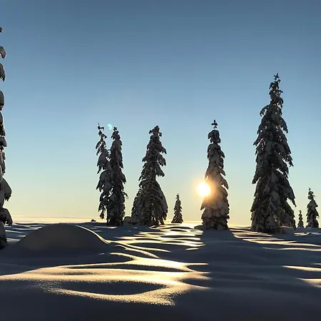 Chalet Kernmayerhuette