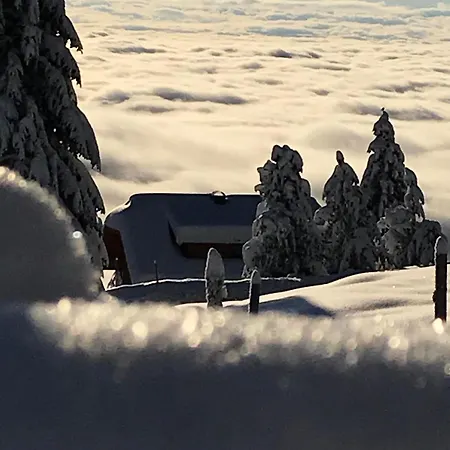 Kernmayerhuette Chalet