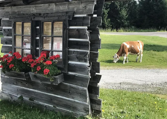 Dağ evi Kernmayerhütte Hochrindl