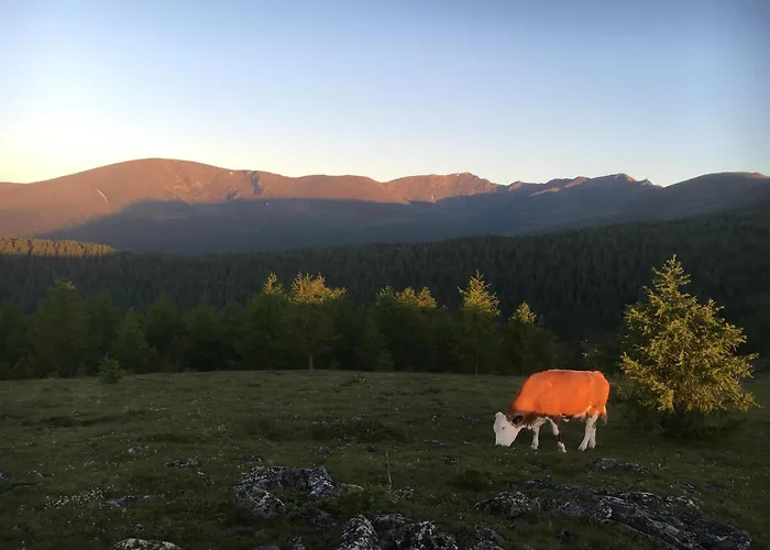 בקתה Kernmayerhuette *