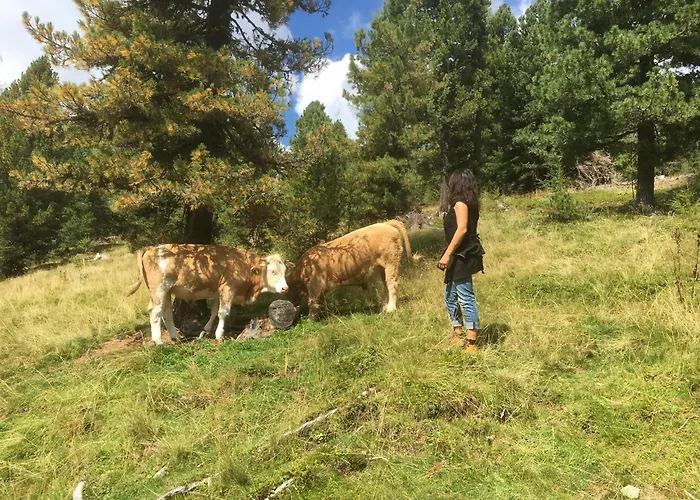 Kernmayerhuette * הוכרינדל