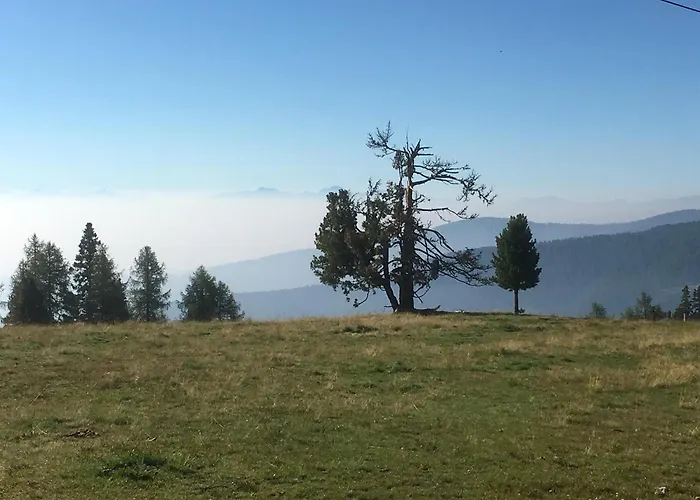 Dağ evi Kernmayerhütte