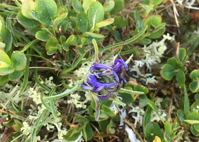 Kernmayerhuette * הוכרינדל