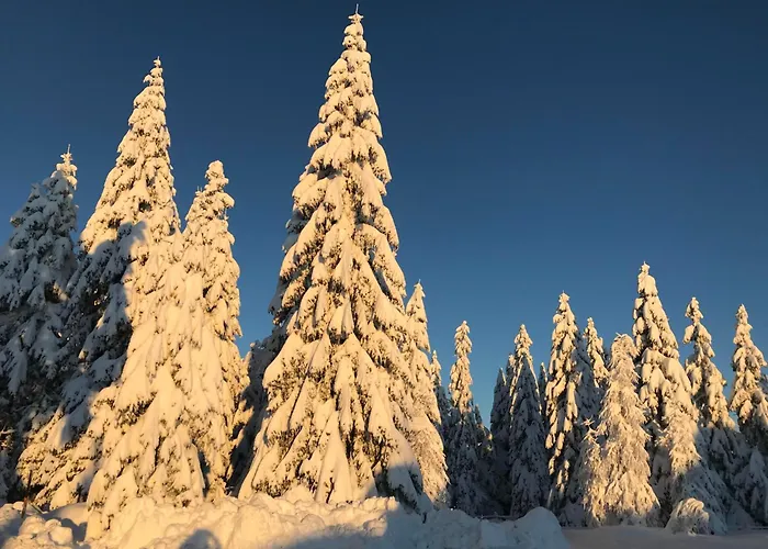 Kernmayerhuette בקתה הוכרינדל