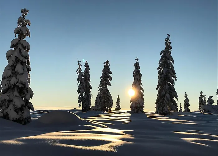 בקתה Kernmayerhuette