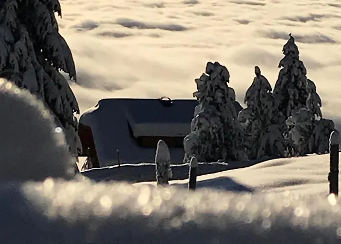 Kernmayerhuette בקתה