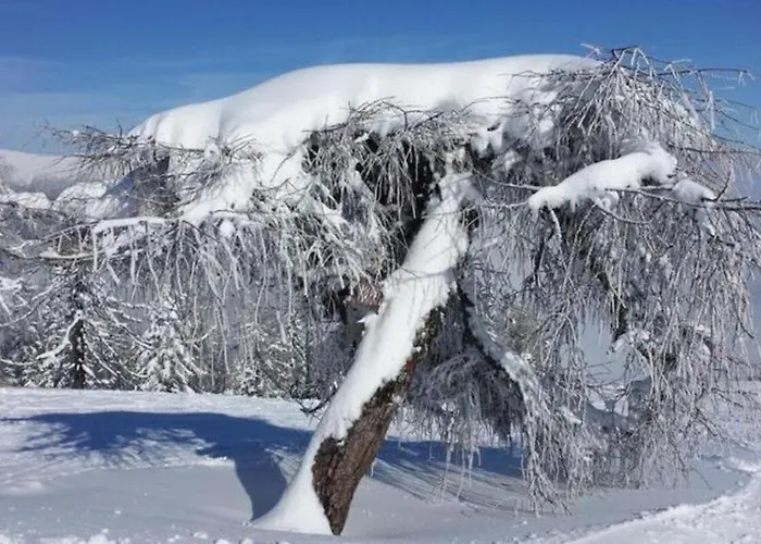 בקתה Kernmayerhuette הוכרינדל